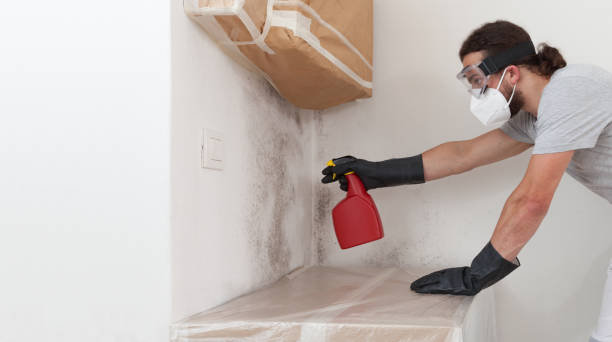 Professional Attic Mold Remediation technician working in Hardyville, VA