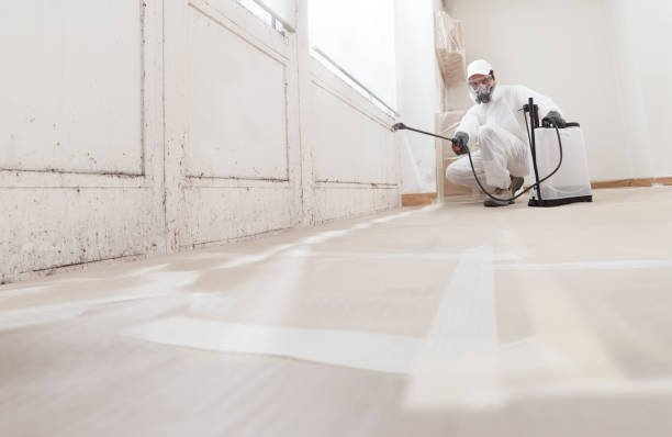 24/7 Emergency Attic Mold Remediation experts in Hardyville, VA